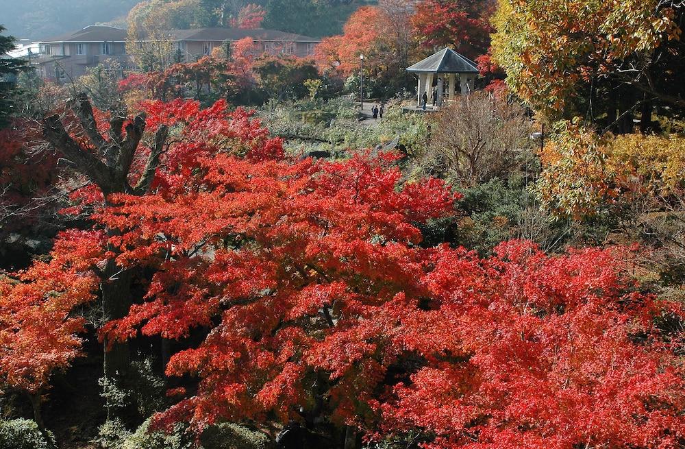 Suikoukan Hakone Bagian luar foto