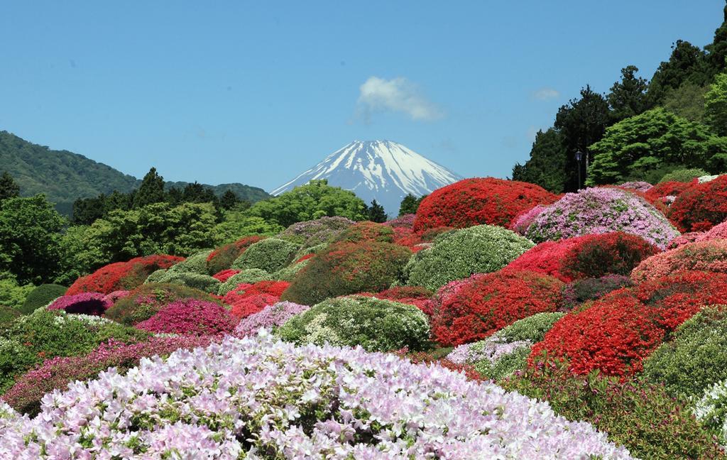 Suikoukan Hakone Bagian luar foto